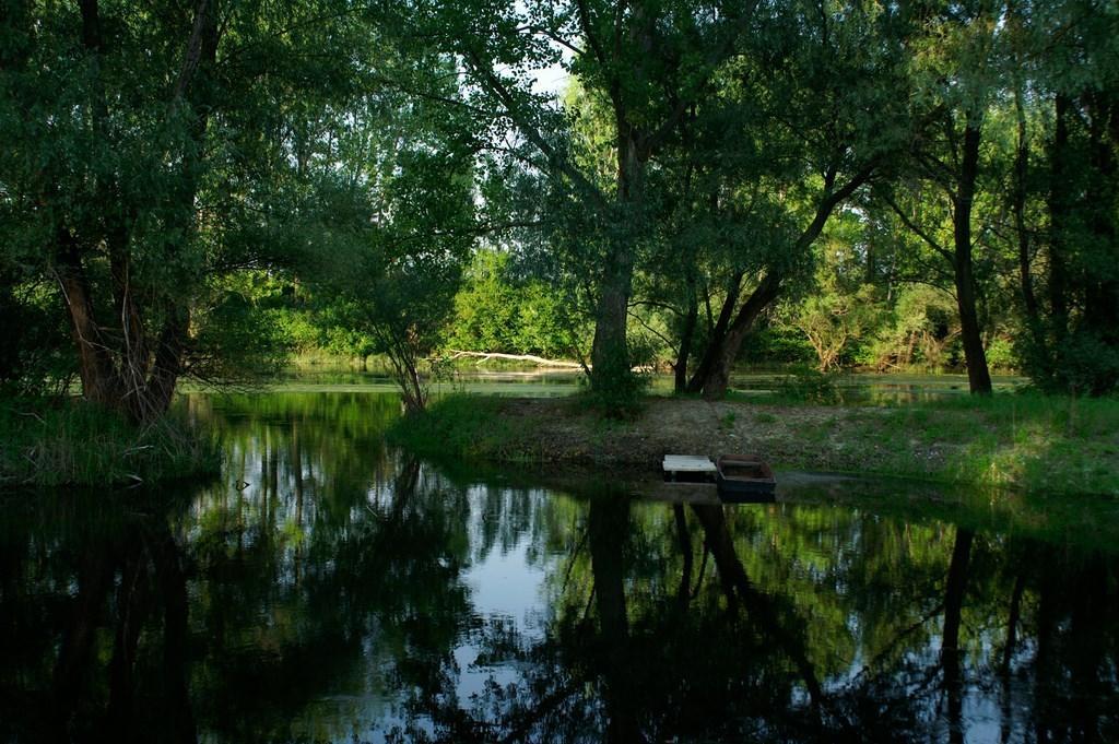 Hotel Alba Regia Pansion Egri Jahodná Exteriér fotografie